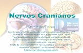 Nervos Cranianos - fonovim.com.br · oriundas da faringe, laringe traquéia, esôfago e vísceras. Apresenta fibras eferentes responsáveis pela inervação ... Quais nervos são