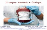 Il sangue: anatomia e fisiologia - docvadis.it · Il sangue: anatomia e fisiologia Dr. Giuseppe Fariselli Studio medico, Via G. Giacosa, 71 20127 Milano Specialista in ...