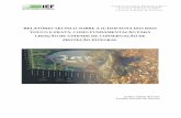 Relatório Técnico ictiofauna Rio Tijuco - IEFief.mg.gov.br/images/stories/Flavia/relatrio_tcnico_ictiofauna_rio... · cabeceiras de drenagem, onde os cursos d`água ainda não escavaram