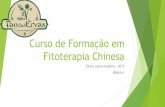 Curso de Formação em Fitoterapia Chinesa · Fundamentos de medicina chinesa; 2. Diagnóstico na medicina chinesa; ...
