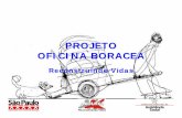 PROJETO OFICINA BORACEA - arquivos.ambiente.sp.gov.brarquivos.ambiente.sp.gov.br/cea/2011/12/MariaMagdalenaAlves.pdf · profissionalização ( pedreiros, pintores, encanadores, eletricistas,
