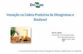 Inovação na Cadeia Produtiva de Oleaginosas e Biodiesel · Inovação na Cadeia Produtiva de Oleaginosas e Biodiesel Bruno Laviola Pesquisador, ... “Apoio orçamentário à EMBRAPA