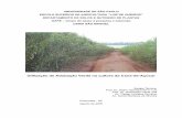 Utilização de Adubação Verde na cultura da Cana-de-Açúcar fileAdubação verde na cultura da cana-de-açúcar . Introdução .1. Panorama atual da cana-de-açúcar stima-se que