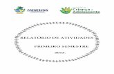 RELATÓRIO DE ATIVIDADES PRIMEIRO SEMESTRE 2013.al.go.leg.br/arquivos/comissao/135.pdf · Legislativa de Goiás, no primeiro semestre de 2013. Ao longo do presente semestre, a Comissão
