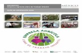 DISTINTIVO Empresa Agrícola Libre de Trabajo Infantil ... · 7 SGS de México S.A de C.V. Certificación SA 8000: Responsabilidad Social