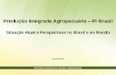 Produção Integrada Agropecuária PI Brasil - Portal Embrapa · • Discussão de um PL sobre agropecuária sustentável. CAPACITAÇÃO • Treinar empresários rurais, técnicos