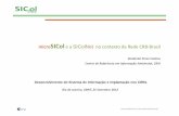 micro SICol e a SICol Net no contextodaRedeCRB-Brasilinmetro.gov.br/credenciamento/pdf/3_o_desenvolvimento_sistema_in... · Centro de ReferênciaemInformaçãoAmbiental, CRIA micro