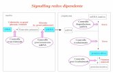 Signalling redox dipendente - uniroma2.it · nucleo citoplasma DNA Trascritto primario mRNA mRNA ... NF-Y/CBF Nuclear factor-Y. Fattore di trascrizione generico ... CONCENTRAZIONE