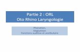 Partie 2 : ORL Oto Rhino Laryngologiebhpicard.free.fr/Files/orl.pdf · 3) Les étapes de la déglutition 2 étapes : Orale et pharyngo-oesophagienne • L’étape oale est volontaie