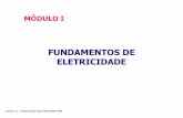 FUNDAMENTOS DE ELETRICIDADE - leonardo-energy.org.br · FUNDAMENTOS DE ELETRICIDADE Versão 2.0 – Direitos Reservados PROCOBRE 2009 . Capítulo 1: Fundamentos das instalações