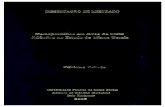pos.icb.ufmg.brpos.icb.ufmg.br/pgecologia/dissertacoes/D123_Fabiane_Sebaio.pdf · influenciar a dinâmica temporal e espacial da populaçao dos hospedeiros, a estrutura da ... além