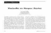 Varicella ve Herpes Zoster - dirim.com ve Herpes Zoster.pdf · yonu hastalar zoster için risk ta˛ımakta-dır. HIV ile enfekte hastalarda zoster mutat olarak görüldüü gib i