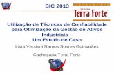 Utilização de Técnicas de Confiabilidade para Otimização ... · Simulação de sistema . 11° Simpósio Internacional de Confiabilidade - SIC 2013 Gestão de ativos e confiabilidade