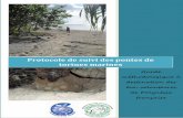 Protocole de suivi des pontes de tortues marines · 1 Protocole de suivi des pontes pour les éco-volontaires de Polynésie française Juin 2011 Auteurs : DINCQ Sophie, association
