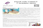 Flash Info CHSCT 7 octobre 2014sud.hcl.free.fr/chsct/chs-ct_ghe_07-10-2014.pdf · Flash Info CHSCT 7 octobre 2014 SUDGHE 35 70 39 EBOLA : Information médicale : contact avec le sang