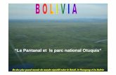 “Le Pantanal et le parc national Otuquis” · Diaporama de 18 diapositives Propriété de Marc Isabelle et Thierry Vorms 3 1/ Le Pantanal • Le Pantanal est la plus grande zone