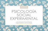 Psicología Social Experimental - psicologia … · Psicología Social Experimental Objetivos formulados para la sesión 02 Presentar la definición de trabajo de la psicología social