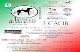 3 CACIB - bremadog.it COMPLETA 4 GIORNI.pdf · Bracco Italiano, Spinone Italiano, Cane da ferma tedesco pc-pd, Epagneul Breton, Pointer , Setter gordon, Setter Inglese, Setter Irlandese,