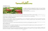 Jablana - Zeleni svet - Vzgojite lastni pridelek in ...zelenisvet.com/wp-content/uploads/2015/01/Jablana-NATISNI.pdf · stran 3 sorte na glivične bolezni ali uporabimo priporočene