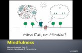 Mindfulness - Dr. Marco Vicentini · ¡Mindfulness § Kabat-Zinn, Mindfulness per principianti, Mimesis § Kabat-Zinn, L’arte di imparare da ogni cosa, Corbaccio § Montano, Mindfulness,