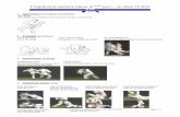 Programme ceinture bleue (2 kyu) – Ju-Jitsu FFJDAballanjudoclub37510.free.fr/Ceinture bleue - jujitsu-ffjda.pdf · Yannick Boucher (2 DAN) Programme ceinture bleue - Ju-Jitsu FFJDA