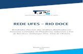 REDE UFES – RIO DOCEredeufes-riodoce.ufes.br/sites/redeufesriodoce.ufes.br/files/field... · Granulometria, densidade e mineralogia do sedimento de fundo 25 Concentração, granulometria,