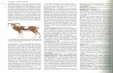 M.A. A. De Das Muffelwild - Himalayan Languages · staart tot 6 cm lang. De rammen, 35-50 ... de Moenda-talen. De sprekers van het wroegste Moenda waren reeds in India .OOr de komst