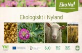 Ekologiskt i Nyland - ekonu.fi · Ekologisk husdjursproduktion (st) i Nyland år 2014-2017 år 2014 år 2015 år 2016 år 2017. Exempel på företagsamma ekoproducenter i Nyland Pargas
