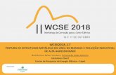 WCSE2018 17 - workshopcorrosao.com.brworkshopcorrosao.com.br/src/uploads/2018/10/Palestra-dia-17_11h30... · classiﬁcação dos defeitos na pintura, tais como, empolamento, empoamento,