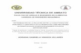 UNIVERSIDAD TÉCNICA DE AMBATO - repositorio.uta.edu.ecrepositorio.uta.edu.ec/jspui/bitstream/123456789/1725/1/BQ2 Ref... · Clasificación de la Clase Actinobacteria 7 2.1.3. Metabolismo