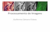 Processamento de Imagens - DECOM-UFOP de Imagens... · Projeto de Pesquisa •Estudo, Análise e Testes de uma aplicação de Processamento de Imagens: –Definir um projeto de estudo