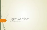Tigres Asiáticos - angloguarulhos.com.brangloguarulhos.com.br/wp-content/uploads/2015/09/Tigres-Asiáticos.pdf · Coréia do Sul Parte Oriental da Ásia Taiwan Cingapura ... (PCC