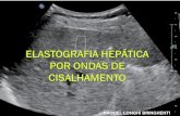 Elastografia hepática - criandoelo.com.br · pelos processos patolÓgicos.