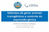 Métodos de gerar animais transgênicos e controle da · •O controle da expressão do transgene se dá através de duas situações: 1. Pela forma como o transgene foi ... hospedeiro