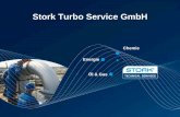 Stork Turbo Service GmbH - manfredda.com · •Test in accordo a standard ISO 2372 o DIN ISO 10816-2 prima della fermata del generatore Smontaggio del generatore