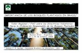 IMPORTANCIA DE LOS BOSQUES PLANTADOS EN BRASIL* FAO - Buenos Aires.pdf · 2013-08-06 · MATA ATLÂNTICA MATA DAS ARAUCÁRIAS NATURALES PLANTADOS MATA DOS COCAIS CAATINGA COMPLEXO