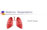 Sistema Respiratório - irp-cdn.multiscreensite.com 7... · Fossas Nasais Entrada das Vias Aéreas, septo nasal. Contato com: seios nasais (maxilar,frontal, etmoidal e esfenoidal).