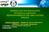 Apresentação do PowerPoint - agricultura.gov.br · Área de eucalipto atacada por pragas - Brasil (2010-2014) G. platensis: adultos. G. pulverulentus G. platensis. Distribuição