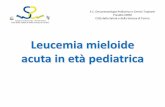 Leucemia mieloide acuta in età pediatrica - reteoncologica.it · Leucemia mieloide acuta in età pediatrica S.C. Oncoematologia Pediatrica e Centro Trapianti ... AIEOP AML 2002/01