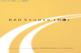 RAD Studio （共通） - docs.embarcadero.comdocs.embarcadero.com/products/rad_studio/delphiAndcpp2009/Help... · 図タむヷンヹぜタ概要 poo っヷづゐまょうタ概要