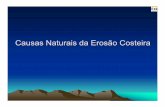 Causas Naturais da Erosão Costeira · 2007-10-23 · Indicadores de erosão costeira (baseado em Souza, 1997, 2001b; Souza & Suguio, 2002) INDICADORES DE EROSÃO COSTEIRA VII Freqüente