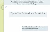 Aparelho Reprodutor Feminino - professor.pucgoias.edu.brprofessor.pucgoias.edu.br/SiteDocente/admin/arquivosUpload/18497... · órgãos do aparelho reprodutor, influenciando outros