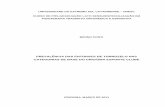 PREVALÊNCIA DAS ENTORSES DE TORNOZELO NAS …repositorio.unesc.net/bitstream/1/940/1/Bruno Conti.pdf · 4.8 Classificação dos Entorses ... tanto anatômico quanto funcional, ...