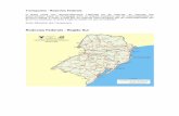 Rodovias Federais - Região Sulrodadas.anp.gov.br/arquivos/Round2/Transportes.pdf · Transportes - Rodovias Federais O Brasil conta com aproximadamente 1.660.000 km de rodovias. As