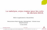 La radiolyse, enjeu majeur pour les colis de déchets MAVL : R&D …iramis.cea.fr/radiolyse/5juin2015/Cochin.pdf · BUSINESS GROUP Timbre PIGA La radiolyse, enjeu majeur pour les