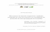 UNIVERSIDADE FEDERAL DE SANTA CATARINA - CORE · protocolos de micropropagação de ... multiplicação massal em biorreatores de imersão temporária ... regenerativo de 895 plantas