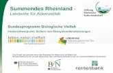 Summendes Rheinland - Lebendige Agrarlandschaftenlebendige-agrarlandschaften.de/.../uploads/2016/11/...SRK_Schmied.pdf · Anforderung an die Zwischenfruchtmischung • Schnell zur