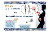 Causas de Infertilidade Humana - luzimarteixeira.com.br · efeitos adversos sobre a fertilidade ... Causas de Infertilidade Humana Biologia 12ºano • Um número anormal de cromossomas,