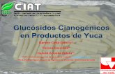 Glucósidos Cianogénicos en Productos de Yucalac.harvestplus.org/wp-content/uploads/2015/02/glucosidos... · Glucósidos Cianogénicos en Productos de Yuca Darwin Ortiz Osorio* Teresa