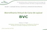 Biorrefinaria Virtual de Cana-de-açúcar BVCpages.cnpem.br/tecnologia-etanol/wp-content/uploads/...Divisão de Avaliação Integrada de Biorrefinarias Biorrefinaria Virtual de Cana-de-açúcar